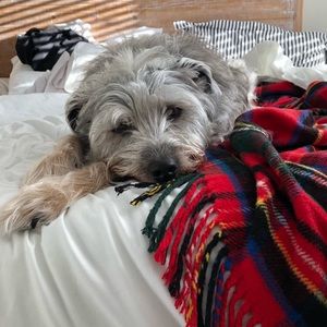 Meet your Posher, Chelsea